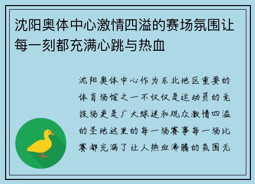 沈阳奥体中心激情四溢的赛场氛围让每一刻都充满心跳与热血 沈阳奥体中心激情四溢的赛场氛围让每一刻都充满心跳与热血